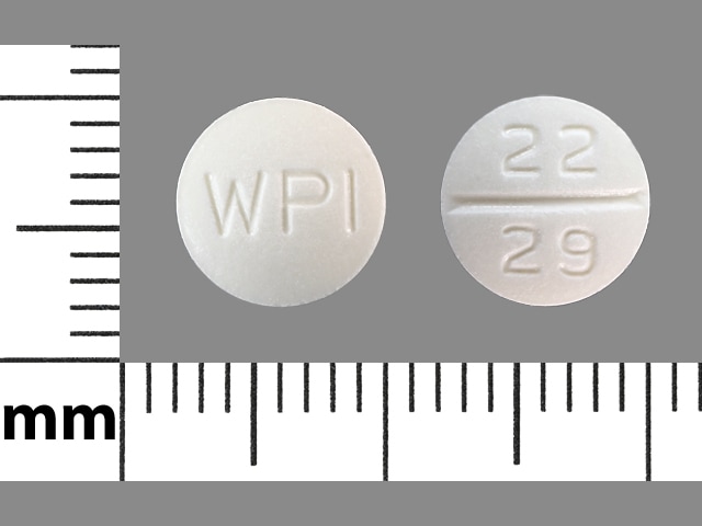 WPI 22 29 - Metoclopramide Hydrochloride