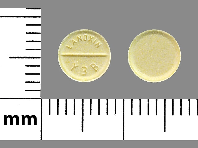 Image 1 - Imprint LANOXIN Y3B - Lanoxin 125 mcg (0.125 mg)