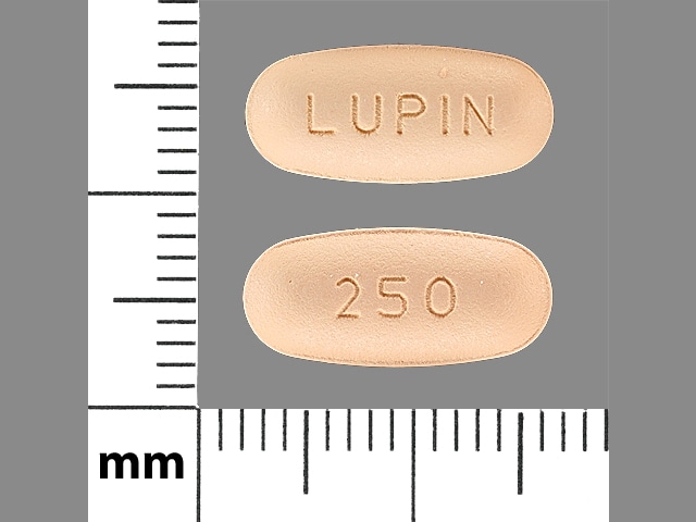 Imprint LUPIN 250 - cefprozil 250 mg