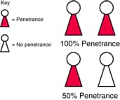 How Genes Affect People: Penetrance and Expressivity