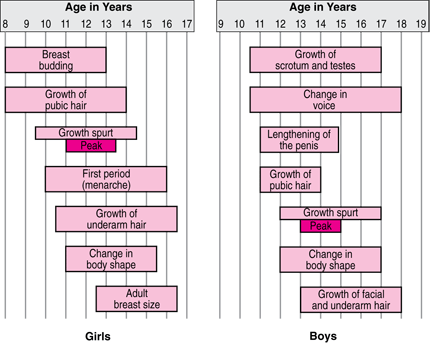 Milestones in Sexual Development for Girls and Boys